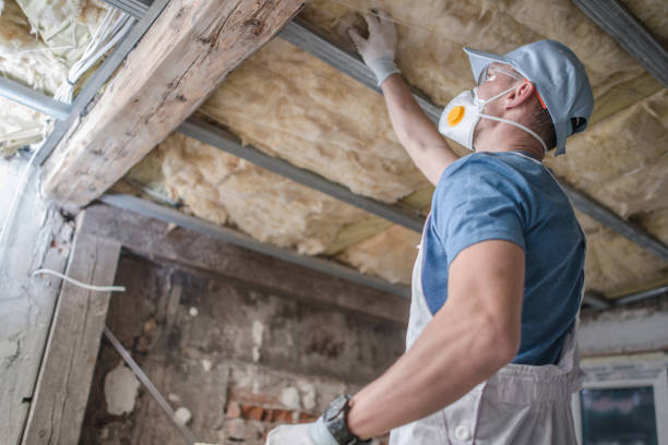 Types of Insulation We Offer in Leland Grove, IL