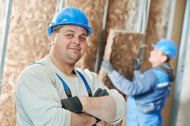 Best Geographic-Specific Insulation Services in Leland Grove, IL